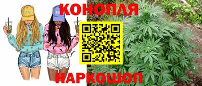 гидра Туймазы