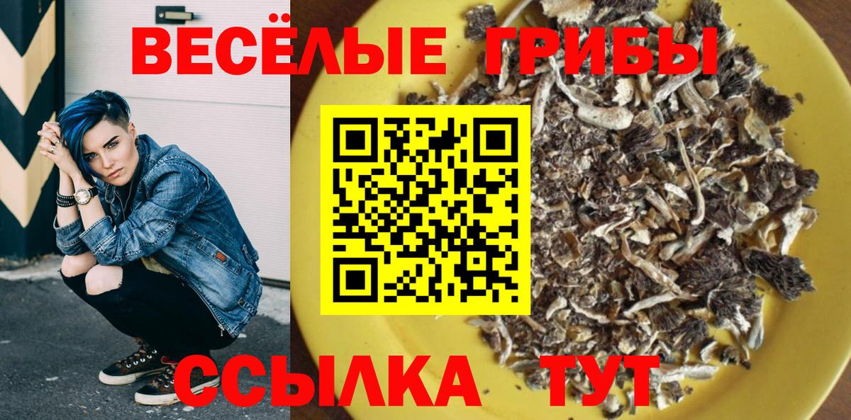 Псилоцибиновые грибы Psilocybe  цены наркотик  Нижний Тагил  Вход с VPN 